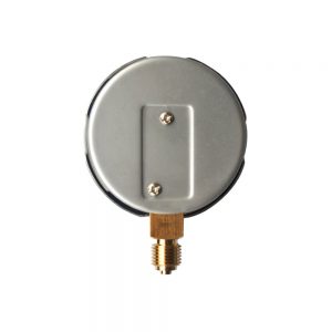CAPSULE GAUGE BACK (1)